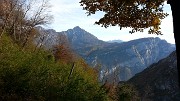 Rifugio SEV ai Corni di Canzo – Domenica 25 ottobre 2015   - FOTOGALLERY